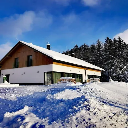 Near Villa Černý Důl